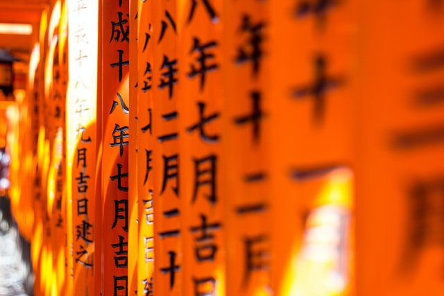 Japanese signs hanging from a wall